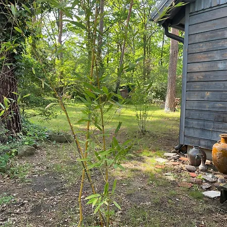 Haus Im Gruenen Wildpark Holiday home *