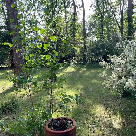 Haus Im Gruenen Wildpark Holiday home Schwielowsee